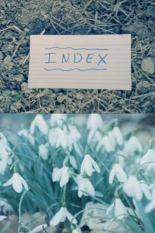Index (2018) poster