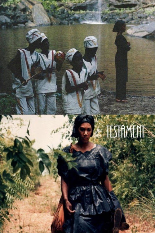 Testament (1988) poster