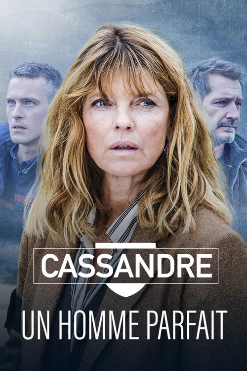 Cassandre - Un homme parfait