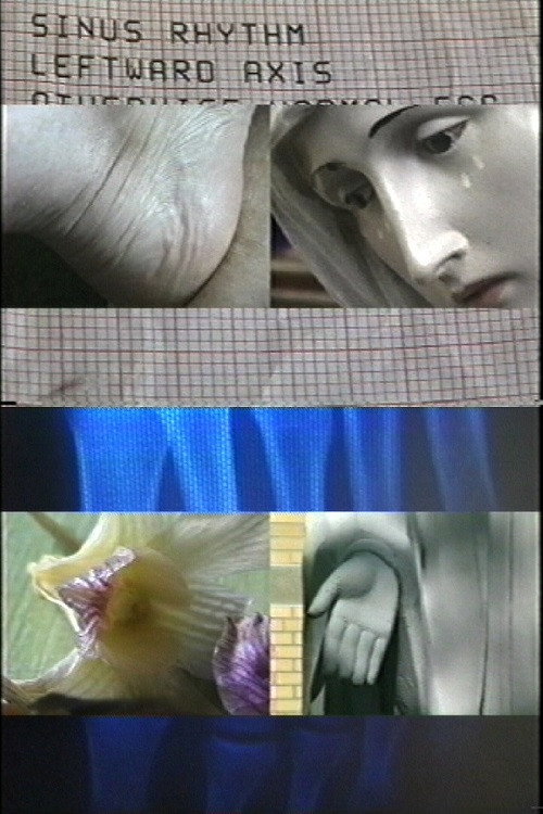 Tabula Rasa (2003) poster