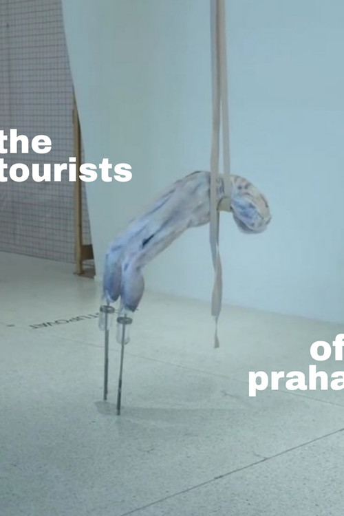 The Tourists of Praha