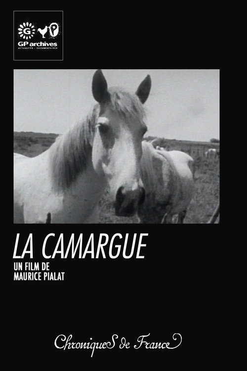 La Camargue