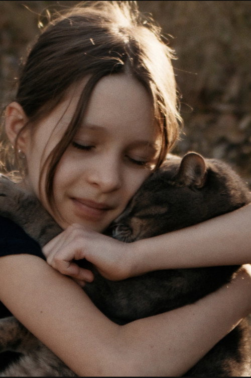 Save the Cat poster