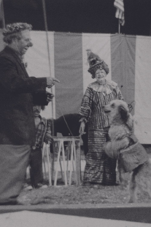 Circus