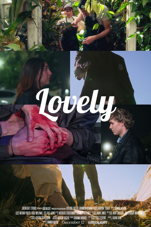 Lovely (2025) poster