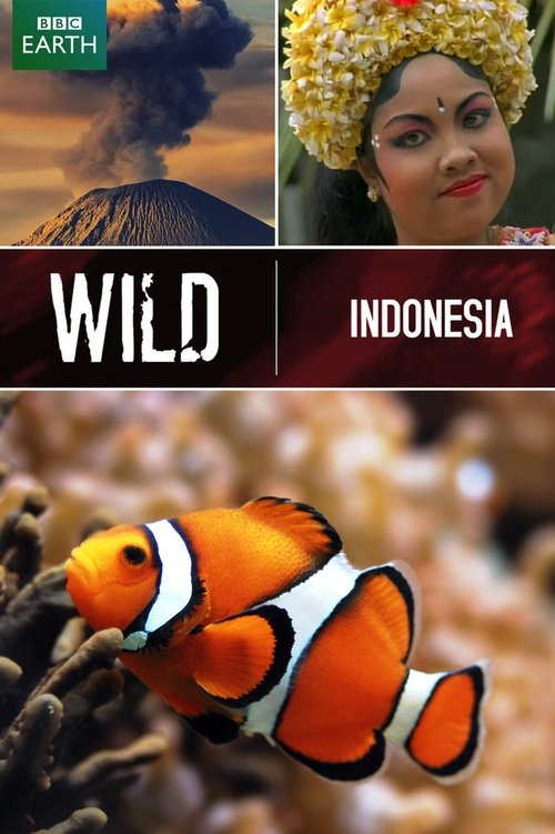 Wild Indonesia (1999) poster
