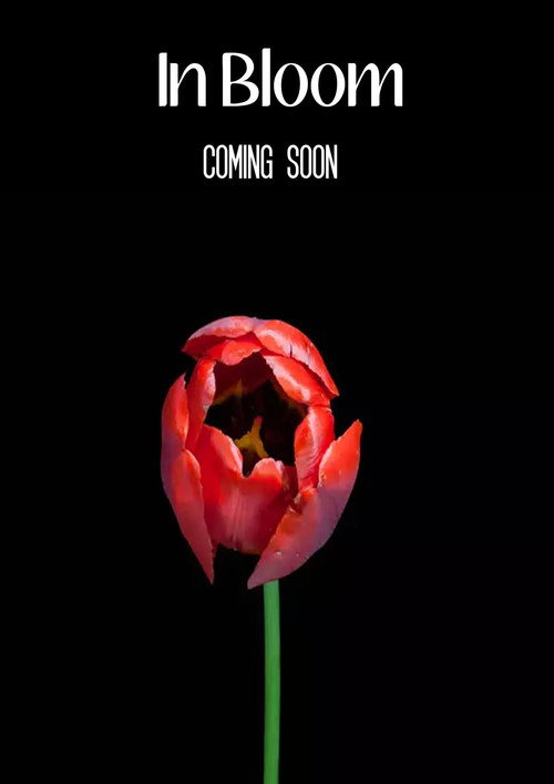 In Bloom (2017) poster
