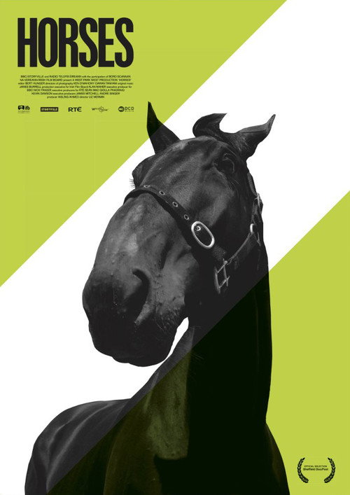 Horses (2010) poster