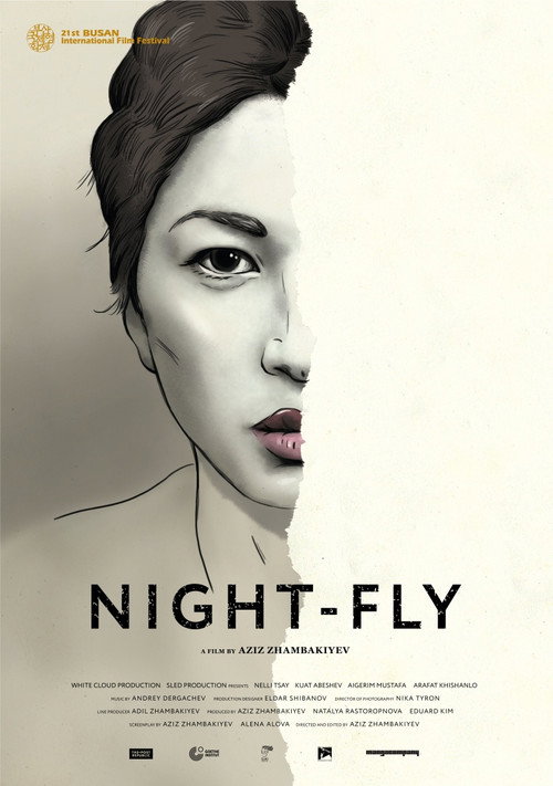 Night-Fly