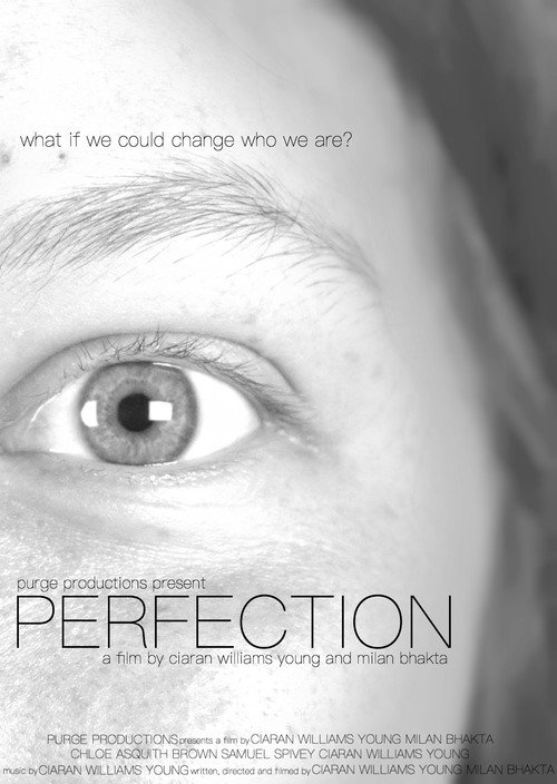 PERFECTION (2018) poster