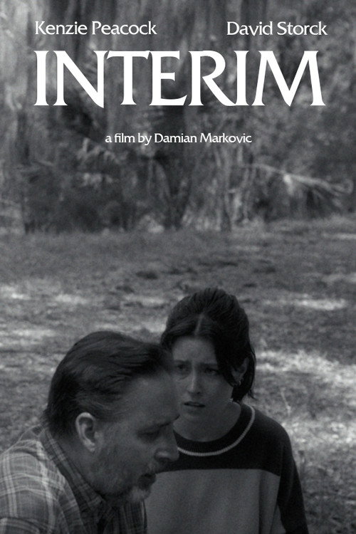Interim (2026) poster