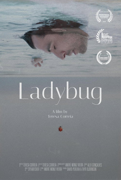 Ladybug (2022) poster