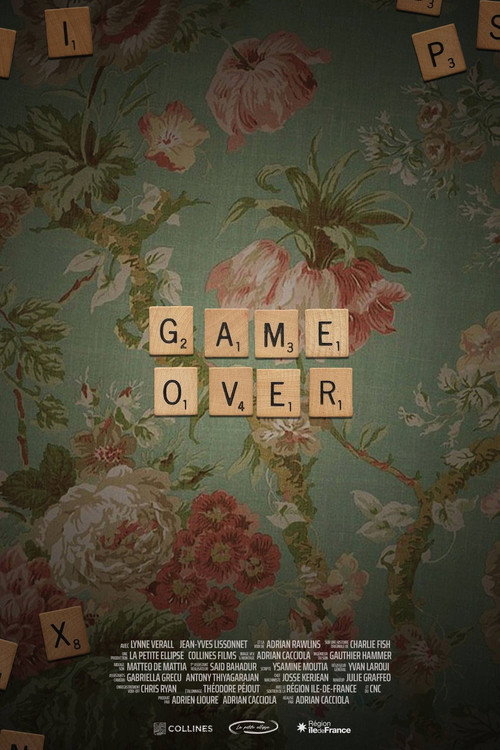 Game Over (2024) poster