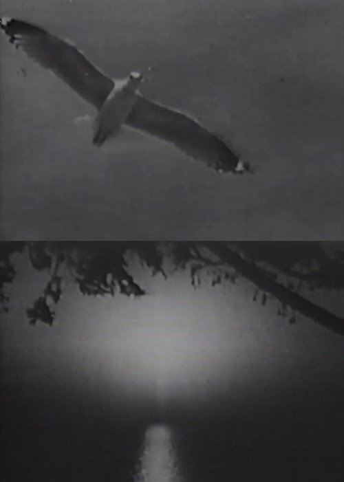 La Mer (1936) poster