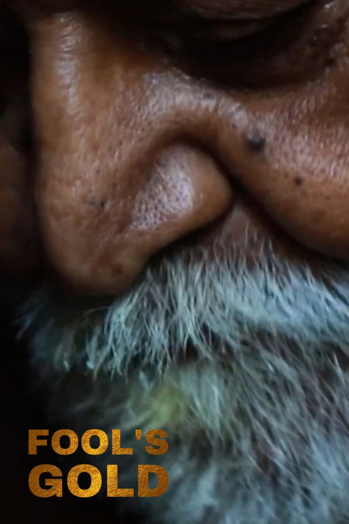 FOOL'S GOLD (2021) poster