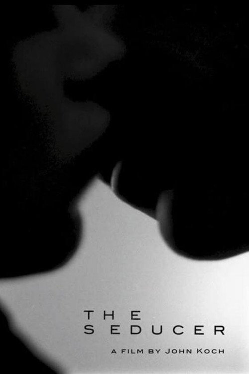 The Seducer (2009) poster