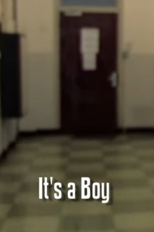 It's a Boy (2010) poster