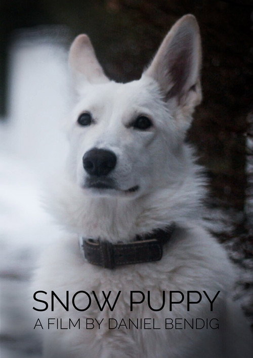 Snowstorm poster