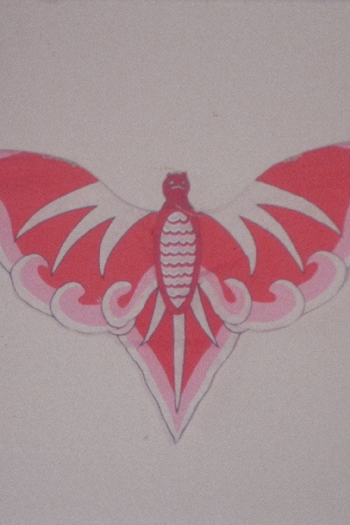 Bat Kite Lucy Robin