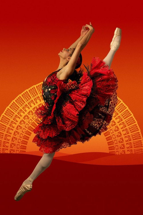 Don Quixote from Birmingham Royal Ballet
