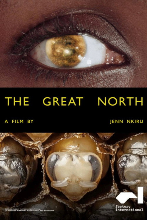 The Great North