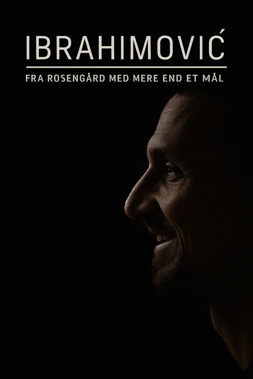 Ibrahimovic - Från Rosengård med mer än ett mål