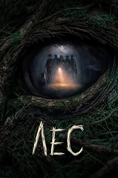 Forest (2026) poster