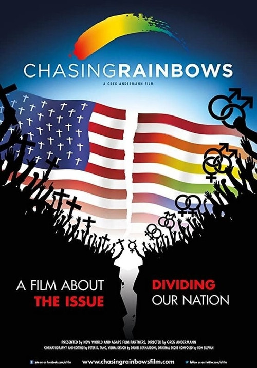 Chasing Rainbows (2010) poster