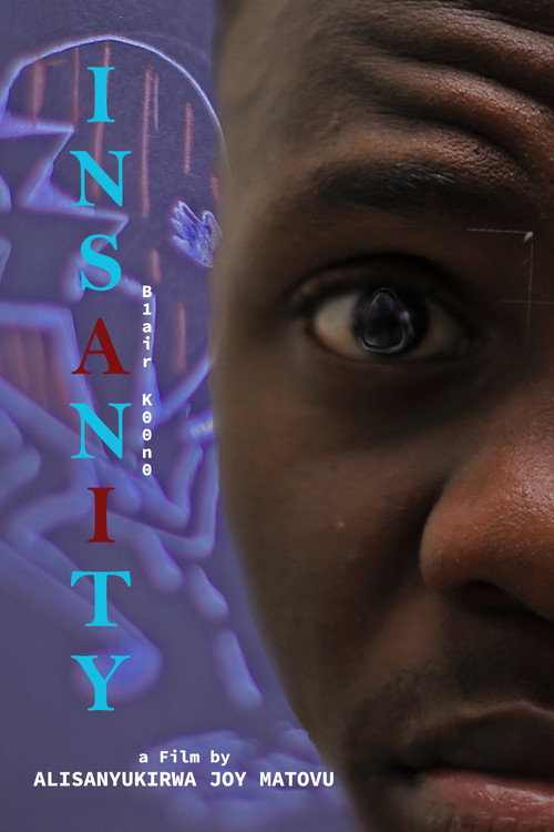 INSANITY (2024) poster