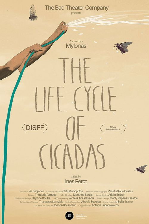 The Life Cycle of Cicadas