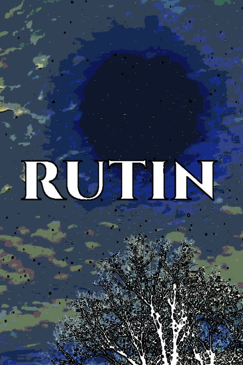 Routine (2025) poster