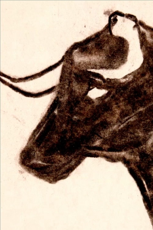 Toro (2014) poster