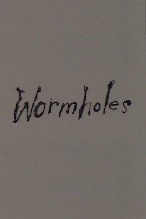 Wormholes