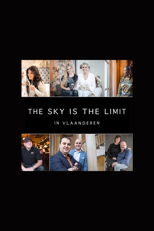 The Sky is the Limit (2014) poster