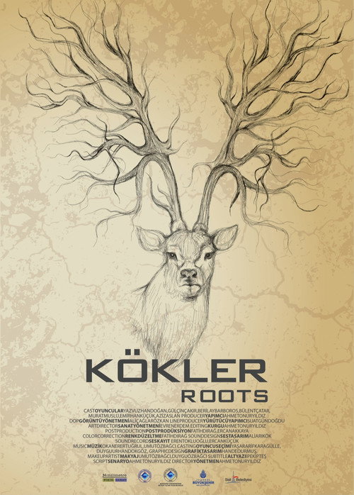 Kökler