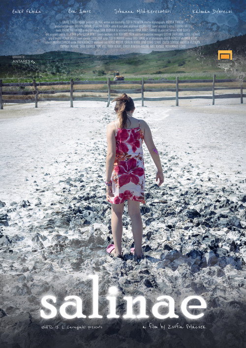 salinae poster