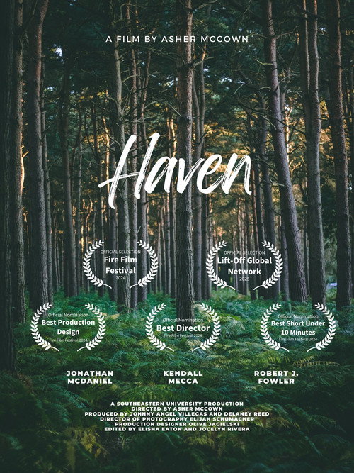 Haven (2024) poster