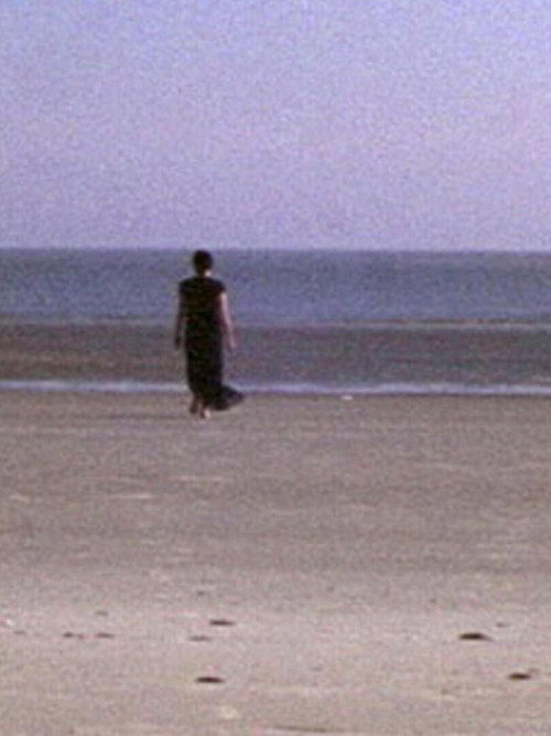 Post-Partum (2004) poster