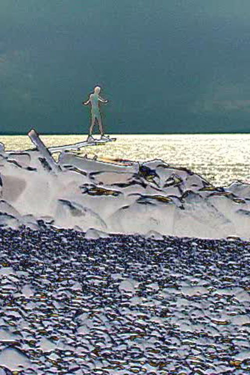 Dragonfly (2006) poster