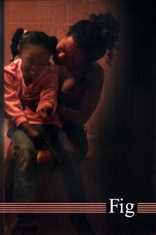Fig (2011) poster