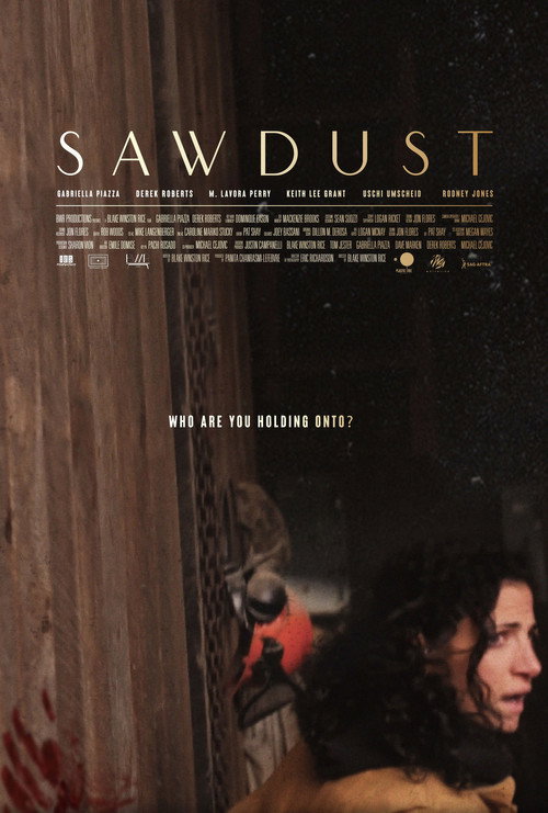 Sawdust poster