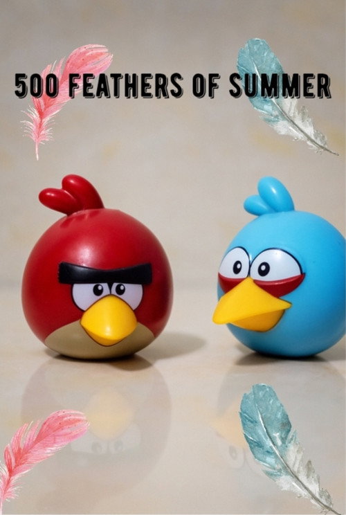 500 Feathers of Summer