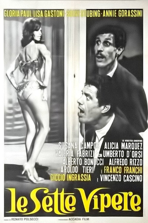 The Seven Vipers (The Latin Husband)