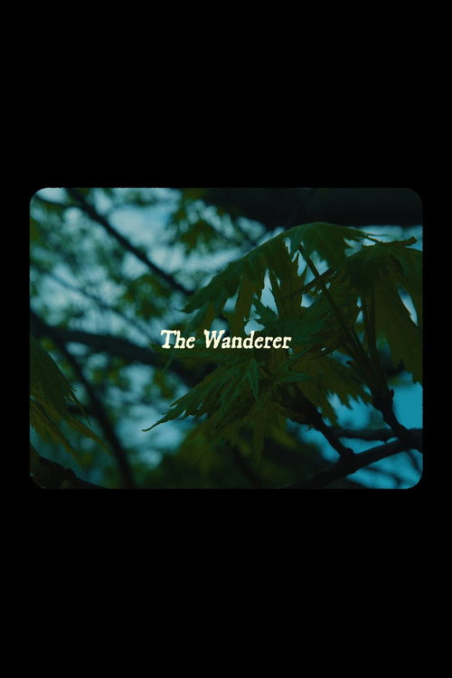 The Wanderer