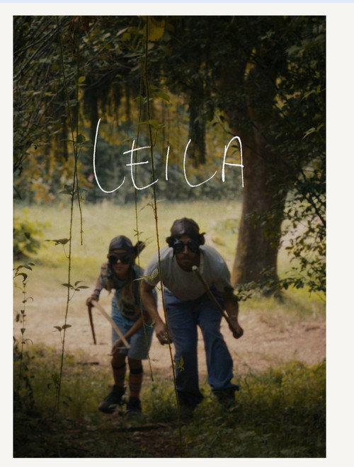 Leila poster