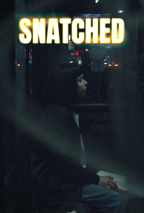 Snatched (2026) poster