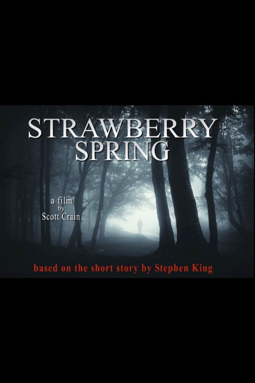 Strawberry Spring (2013) poster