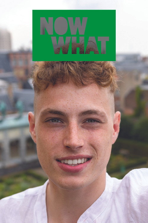 NOW WHAT (2022) poster