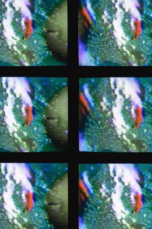 Matrix II