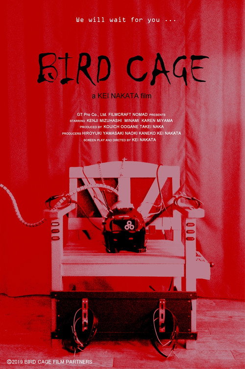 Bird Cage (2019) poster